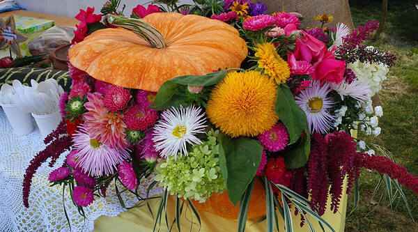 slajd pliki/slajd-glowny/baner1.jpg