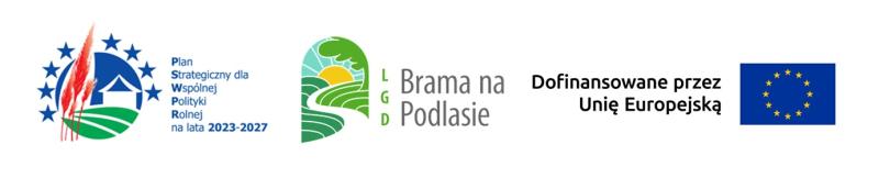 Noc Świętojańska w Ciechanowcu -21.06.2025 Noc Świętojańska w Ciechanowcu -21.06.2025